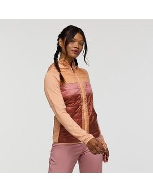 COTOPAXI Capa Hybrid Insulated Hooded Jacket - Brown