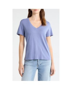 The Standard Stitch The Organic Cotton V-Neck Tee - Blue