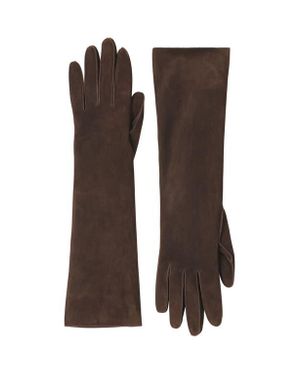 Lanvin Long Slim Suede Gloves - Brown