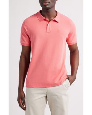 Tom & Teddy Solid Pima Cotton Piqué Polo - Pink