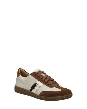 Josef Seibel Joleen Sneaker - Brown