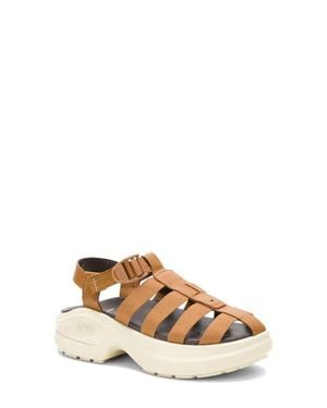 Chaco Cushform Fisherman Sandal - Multicolor