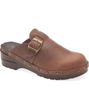 Chocolat Blu Yullia Clog - Brown