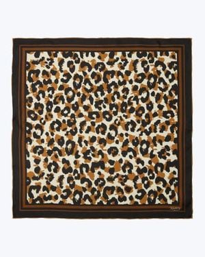 Knottery & Co Leopard Print Silk Bandana - Black