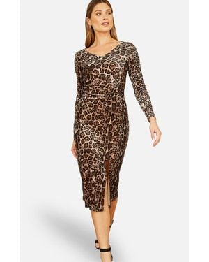 Yumi' Velvet Long Sleeve Fitted Midi Dress - Brown