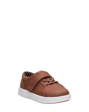 HEYDUDE Kids' Paul Pro Ac Classic Sneaker - Brown