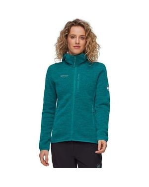 Mammut Arctic Iv Ml Hooded Jacket - Green