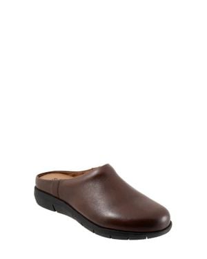 Softwalk Andria Mule - Brown