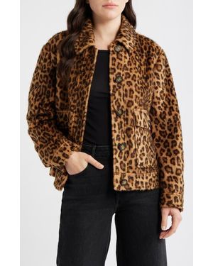 Bernardo Print Jacket - Brown