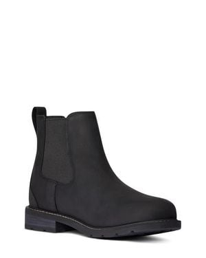 Ariat Wexford Waterproof Chelsea Boot - Black