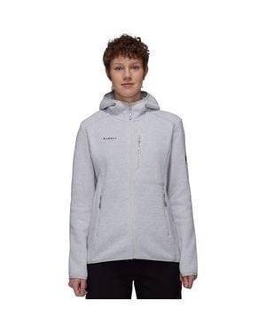 Mammut Arctic Iv Ml Hooded Jacket - Gray