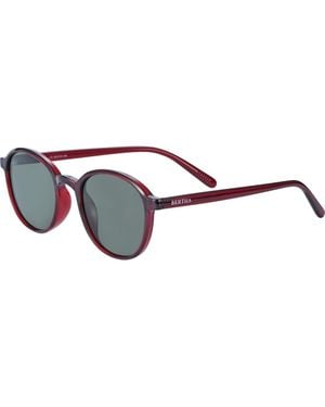 Bertha Paris Ladies Polarized Sunglasses - Brown