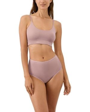 Pact Everyday High Rise Brief 5-Pack Made With Organic Cotton - Purple