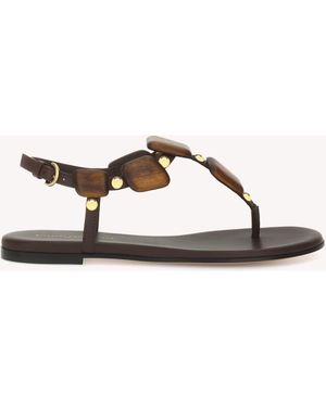 Gianvito Rossi Munduk Sandal - Brown