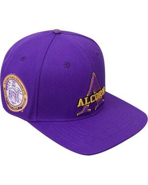 Pro Standard Alcorn State Braves Evergreen Primary Logo Snapback Hat - Purple