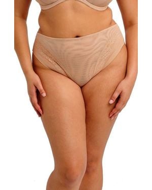 Elomi Nerina High Leg Briefs - Multicolor