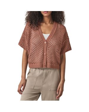 Splendid Nova Short Sleeve Cotton Pointelle Cardigan - Brown