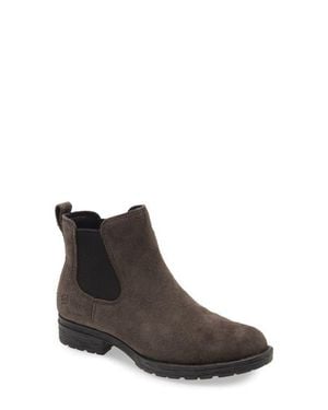 Børn Cove Waterproof Chelsea Boot - Brown