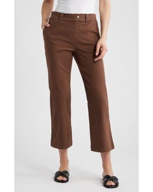 Hue Kick Flare Stretch Cotton Pull-On Pants - Brown