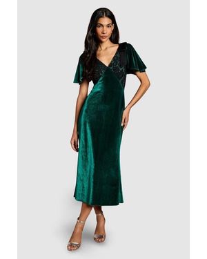 Coast Velvet Lace Mix Short Sleeve Midi Dress - Green