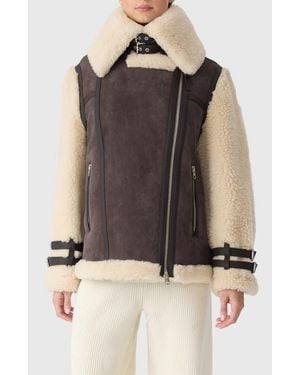 Mackage Rhoslyn Oversize Genuine Shearling Moto Jacket - Multicolor
