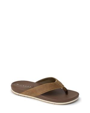 Reef Cushion Bonzer Leather Flip Flop - Brown