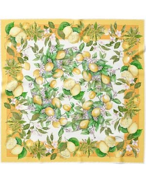 Elizabetta Limoni Fioriti - Green