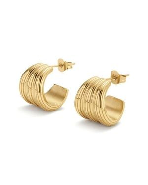 D.Louise Ribbed Small Hoop Earrings - Metallic