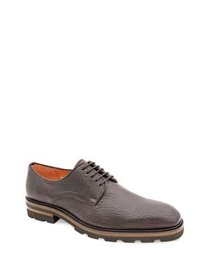 Mezlan Grained Leather Derby - Brown