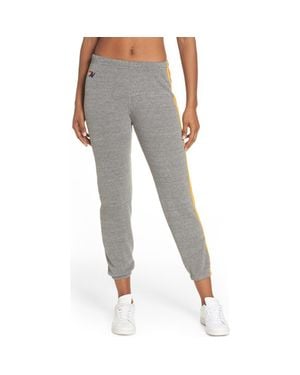 Aviator Nation Stripe Sweatpants - Multicolor
