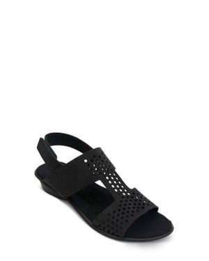 Sesto Meucci Elicia Slingback Sandal - Black