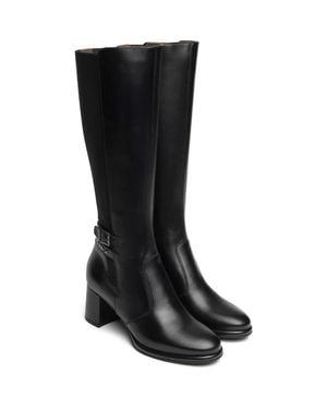 Nero Giardini Buckle Stretch Knee High Boot - Black