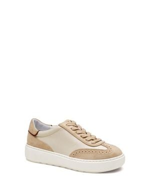 Johnston & Murphy Cammie Low Top Sneaker - Natural