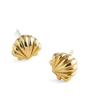 Madewell Demi-Fine Shell Stud Earrings - Metallic