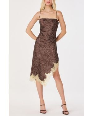 Astr Kiersten Polka Dot Lace Trim Slipdress - Brown