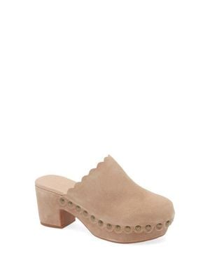 Chocolat Blu Gareth Platform Mule - Multicolor