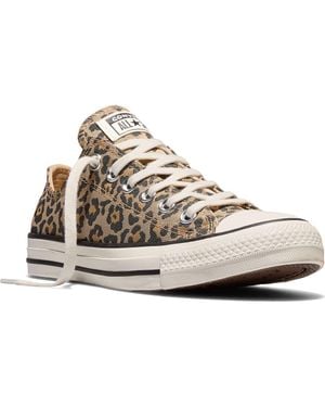 Converse Chuck Taylor All Star Leopard Low Top Sneaker - Natural