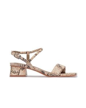Bernardo Josei Low Heel Sandal - Multicolor