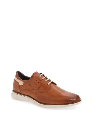 Fluchos Fenix Perforated Toe Derby - Brown