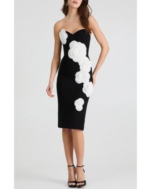 HELSI Kaia Floral Appliqué Strapless Dress - Black