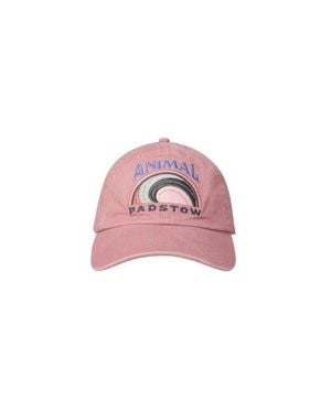 Animal Padstow Baseball Cap - Pink