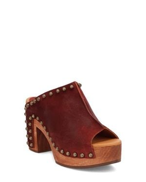 Dingo Echo Clog - Brown