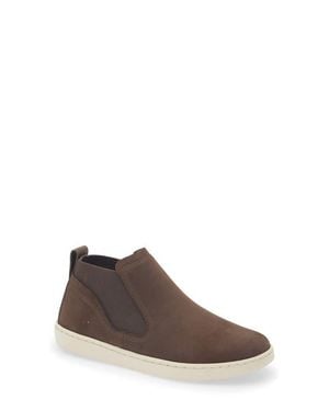Olukai Pehuea Sneaker - Brown