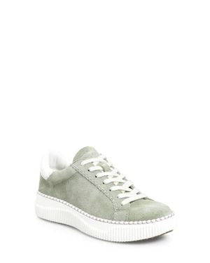 Söfft Frazier Sneaker - White