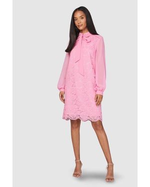 Wallis Lace Tie Neck Shift Dress - Pink
