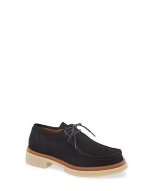 Cordani Maya Chukka Derby - Black