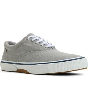 Sperry Top-Sider Halyard Cvo Sneaker - Gray