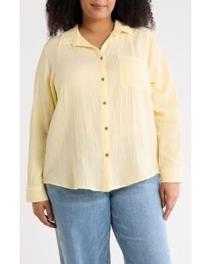 Beach Lunch Lounge Amada Shirt - Blue
