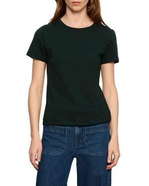Sanctuary Icon T-Shirt - Black