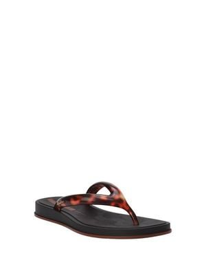 Ipanema Glow Trendy Flip Flop - Multicolor